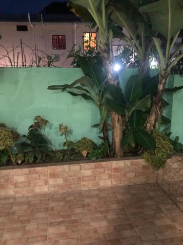 a green wall with trees and plants on it at Beverley Manor DIAMOND VALE' 2 Bedroom 1 Bath Apartment in Diego Martin