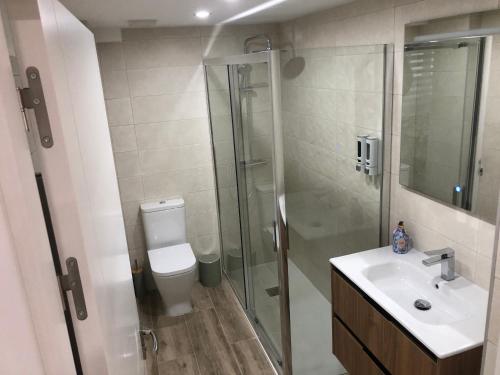 a bathroom with a shower and a sink and a toilet at Piso céntrico León 2 in León