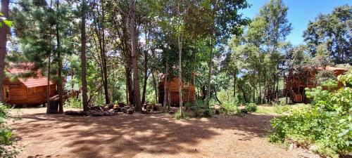 a tree house in the middle of the forest at Cabaña en el Bosque de San José del Pacífico 4 in San Mateo Río Hondo