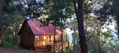 a cabin in the woods with a red roof at Cabaña en el Bosque de San José del Pacífico 4 in San Mateo Río Hondo