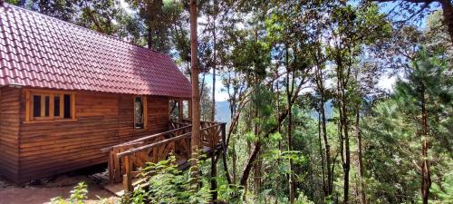 a wooden cabin in the middle of a forest at Cabaña en el Bosque de San José del Pacífico 4 in San Mateo Río Hondo