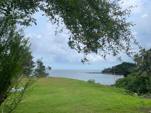 a grassy hill with a view of the ocean at Andaman Castle in Port Blair