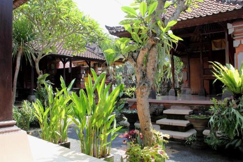 un jardín con un banco y árboles y plantas en Nugraha Guesthouse 1, en Ubud