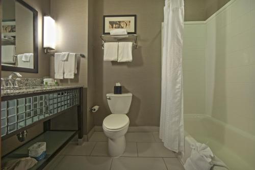 a bathroom with a toilet and a sink and a shower at Holiday Inn Hotel & Suites Northwest San Antonio, an IHG Hotel in San Antonio