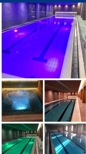 four pictures of a swimming pool with purple and green at Kalman Iskra in Zlatibor