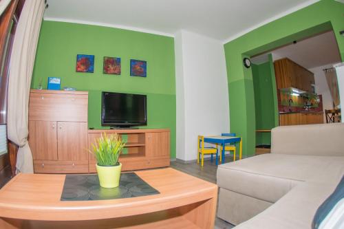 a living room with a couch and a tv at Apartments Helena Kranjska Gora in Kranjska Gora