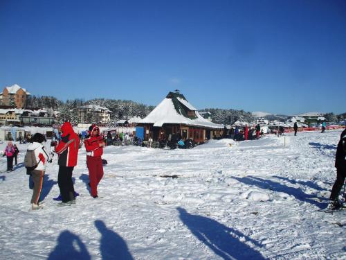 a group of people walking in the snow at Villa Bozovic in Zlatibor