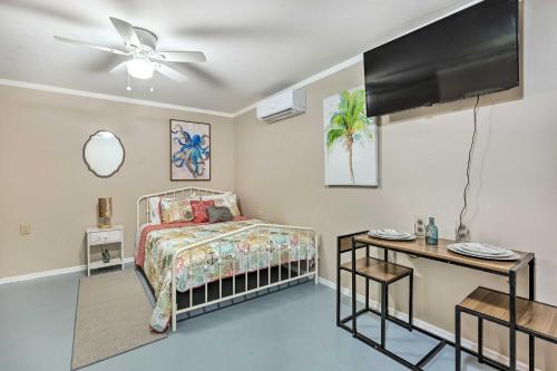 - une chambre avec un lit et une télévision à écran plat dans l'établissement Cozy Port Richey Studio about 4 Mi to Beaches!, à Port Richey