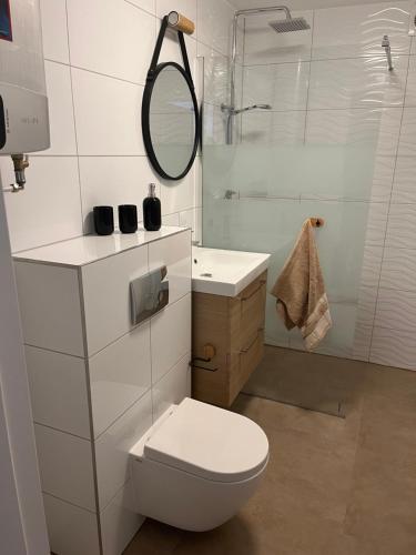 a bathroom with a toilet and a sink and a mirror at Apartament Widok&Sky Piechowice/Szklarska Poręba in Piechowice