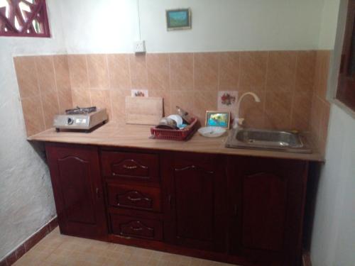 a kitchen with a counter with a sink and a sink at Grace Villa Bentota in Bentota