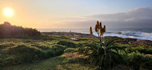 a sunset on the beach with a plant and a bench at 3 Lagoon Getaways in Southbroom