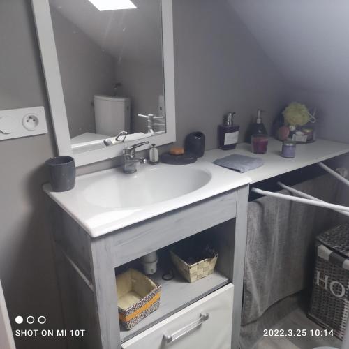 une salle de bain avec un lavabo et un miroir dans l'établissement Maison Normande, à Beuzeville