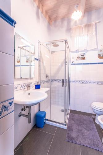 a bathroom with a shower and a sink and a toilet at Le Pendici Casa Vacanze in Boscotrecase