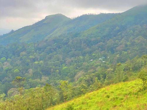 a green hillside with trees and a mountain at The Windy Mist Resort Munnar in Chinnakanal