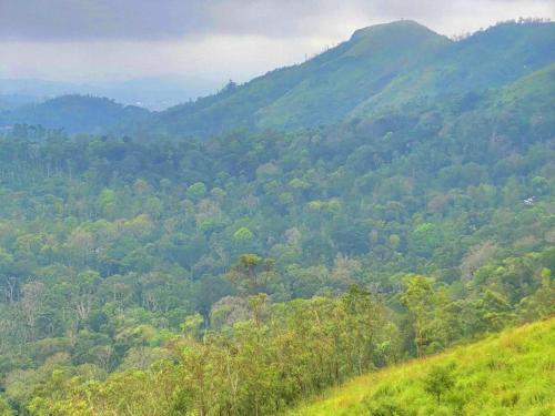 a view of a lush green mountain with trees at The Windy Mist Resort Munnar in Chinnakanal