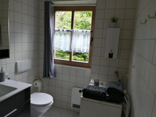 a bathroom with a toilet and a window at Ferienhaus Nienaber in Grafenau