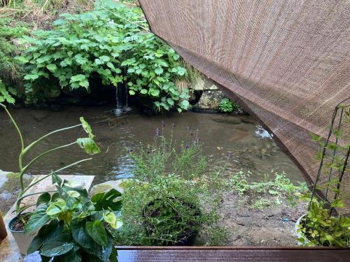 a pond in a garden with a curtain over it at Marushige in Nozawa Onsen