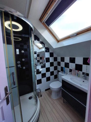 une salle de bain avec une douche, des toilettes et un lavabo dans l'établissement Le Relais De L'Aube, à Villers-Bretonneux