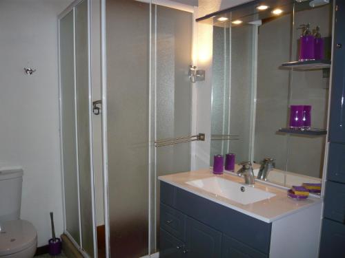 a bathroom with a shower and a sink and a toilet at MARC in Saint-Paul-Trois-Châteaux