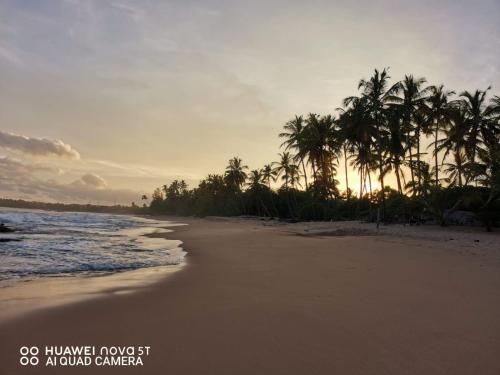 a beach with palm trees and the ocean at sunset at Sheen Holiday Resort in Tangalle