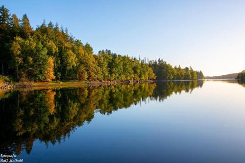 a lake with trees reflecting in the water at Ferienwohnung Annika in Hückeswagen