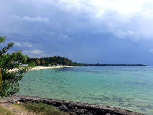 a view of the beach from the shoreline at La Maison de la plage - Guest House in Albion