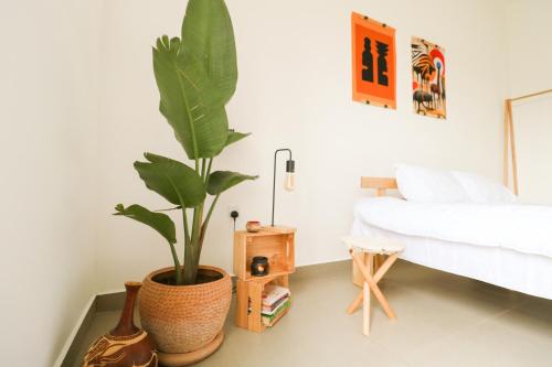 Gallery image of Cozy Stays Kigali in Kigali