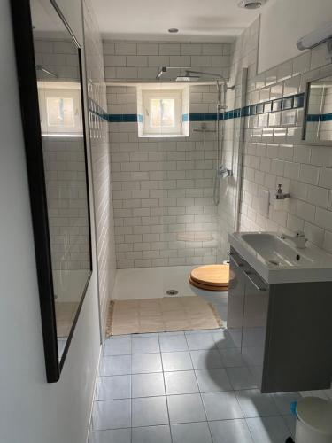 a bathroom with a shower and a toilet and a sink at La Caza du quercy in Cazes-Mondenard