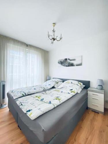 CityCosy ORANGERIE Strasbourg Appartement 2 pièces en face de parc de L'Orangerie avec un parking souterrain compris