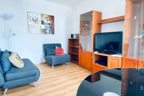 salon z kanapą i telewizorem w obiekcie CityCosy ORANGERIE Strasbourg Appartement 2 pièces en face de parc de L'Orangerie avec un parking souterrain compris w Strasburgu