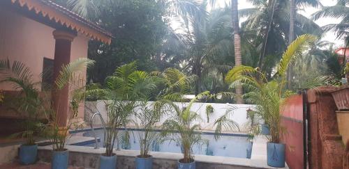 Parra的住宿－HERITAGE 7BHK VILLA WITH PRIVATE POOL close to BAGA BEACH，游泳池前的一大堆棕榈树