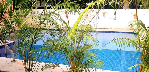 une piscine avec des plantes devant elle dans l'établissement HERITAGE 7BHK VILLA WITH PRIVATE POOL close to BAGA BEACH, à Parra