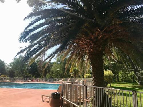 a person sitting on a bench next to a palm tree at Appart Cosy Green, Océan, Golf, Piscine, Wifi in Moliets-et-Maa