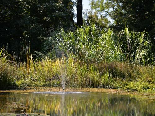 a bird is standing in the middle of the water at Villa Rana in Lindau