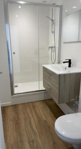 une salle de bain avec une douche, des toilettes et un lavabo dans l'établissement Résidence Pelloutier Appartement E, à Vénissieux