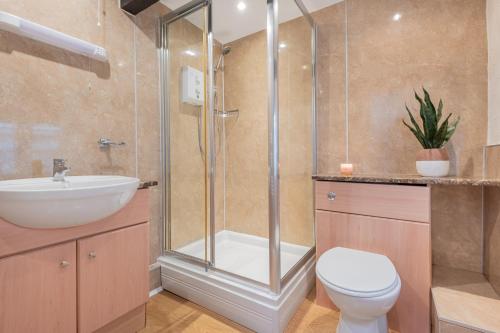 a bathroom with a shower and a toilet and a sink at Cottage 6 Studio Mews in Keswick