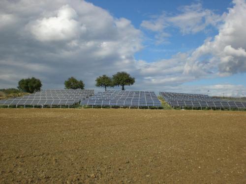 a row of solar panels in a field at Ca' Virginia Country House Wellness in Montecalvo in Foglia
