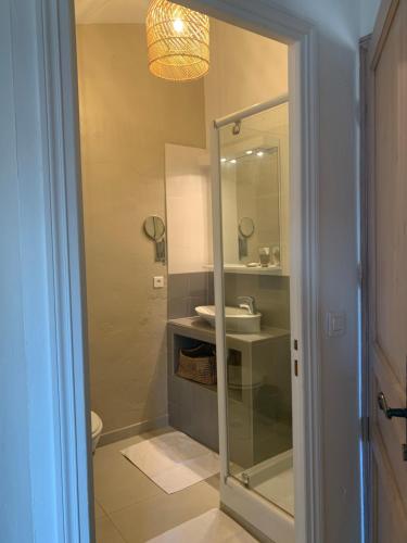 La salle de bains est pourvue d'une douche en verre et d'un lavabo. dans l'établissement Mas Saint Antoine, à Grasse