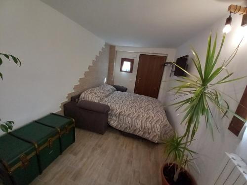 1 dormitorio con 1 cama y una maceta en In Vino Veritas, en Sulmona