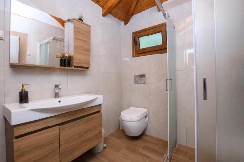 een badkamer met een wastafel en een toilet bij Villa Suzana in Mikrós Prínos