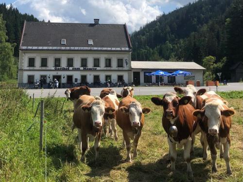 Gasthof zum Maurer