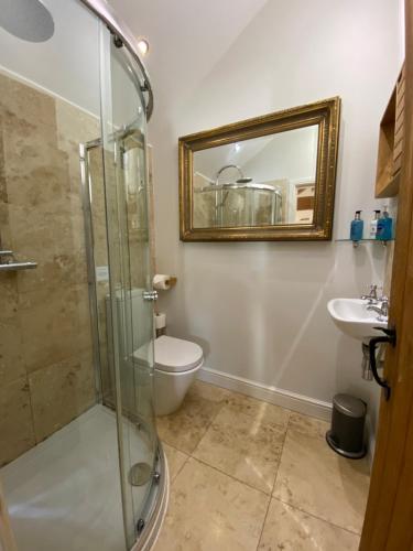 a bathroom with a shower and a toilet and a sink at The Brosterfield Suite - Brosterfield Farm in Bakewell