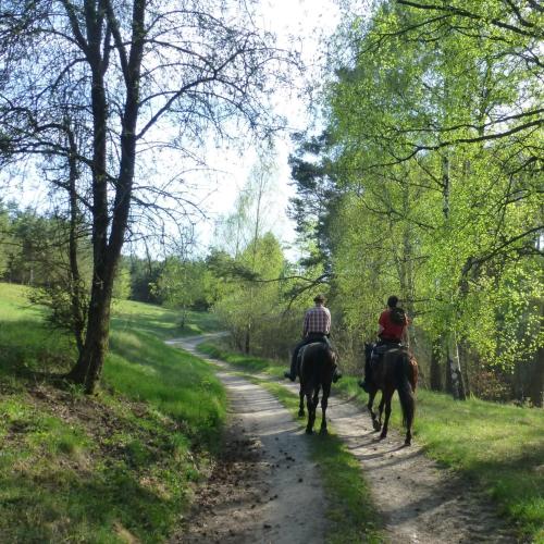 two people riding horses down a dirt road at Pensjonat Kowalski in Łubowo