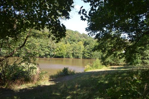 a body of water with trees and a river at Frankenau Fewo Kellerwald in Frankenau