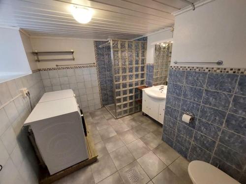 a bathroom with a sink and a toilet in it at Large, quiet and centrally located apartment in Fredrikstad