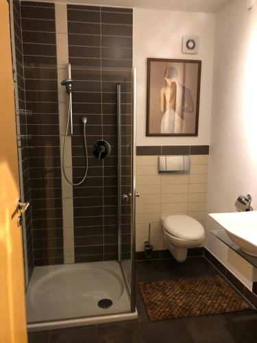 a bathroom with a shower and a toilet and a sink at Ferienwohnung Rhön Natur in Hilders