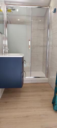 une salle de bain avec un lavabo bleu et une douche dans l'établissement Appartement LOFT 40 M2, à Saint-Cyr-sur-Mer