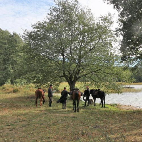 a group of people walking their horses near a tree at Pensjonat Kowalski in Łubowo