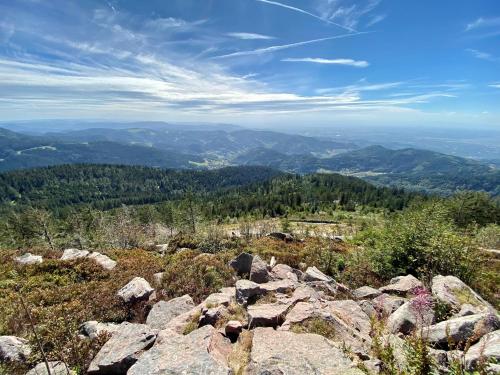 a view from the top of a mountain with rocks at RelaxHotel Tannenhof in Sasbachwalden