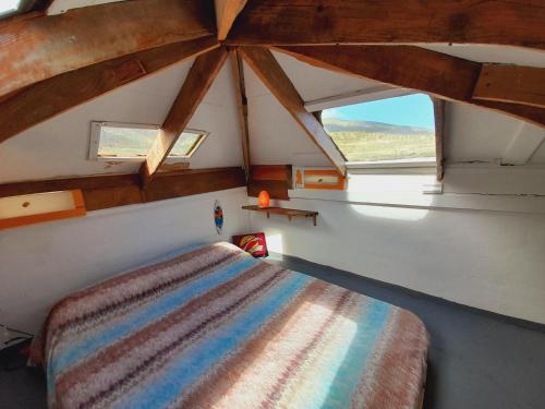 um quarto com uma cama num quarto com uma janela em Climbing Suite with sky windows ! em Santa Cruz de Tenerife
